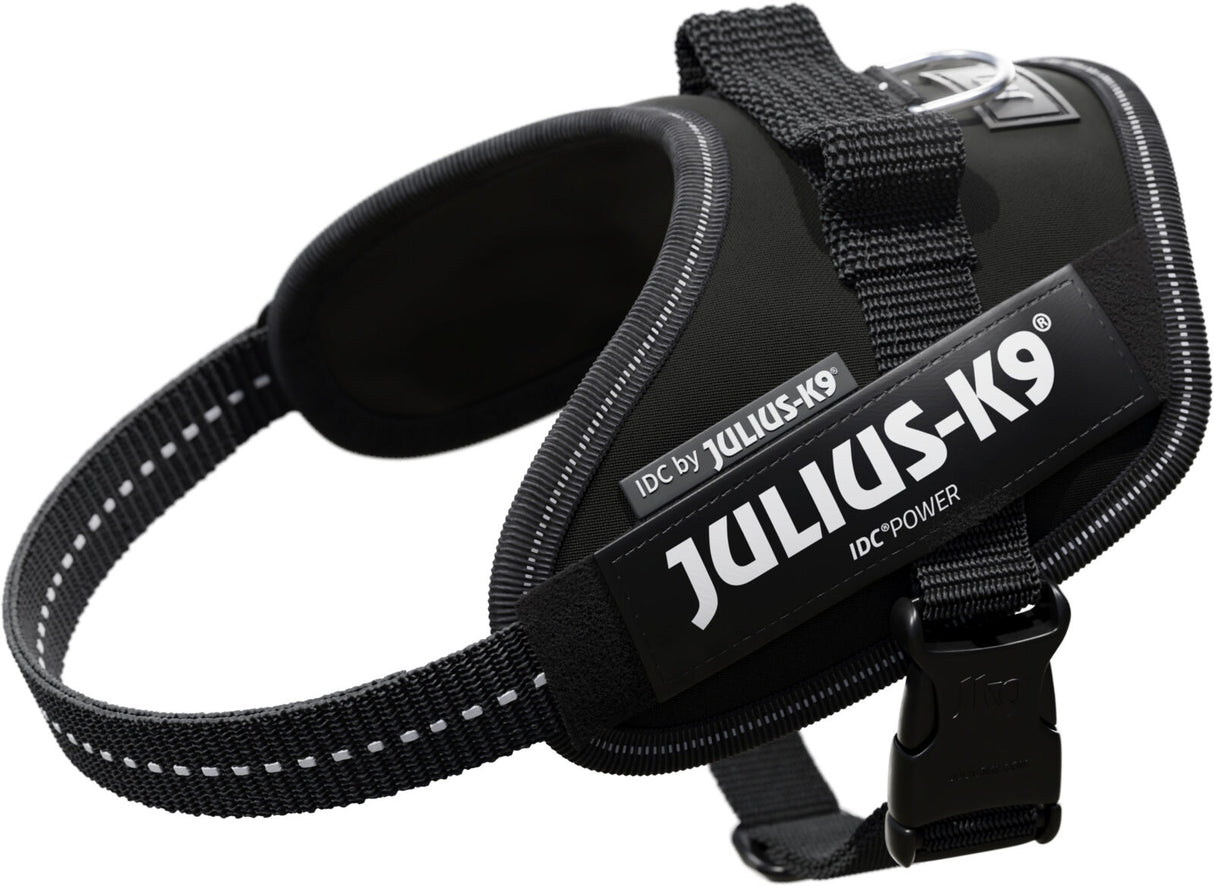 Schwarzes Julius-K9-Hundegeschirr mit reflektierenden Nähten, seitlichem Logo und verstellbarem Gurt.