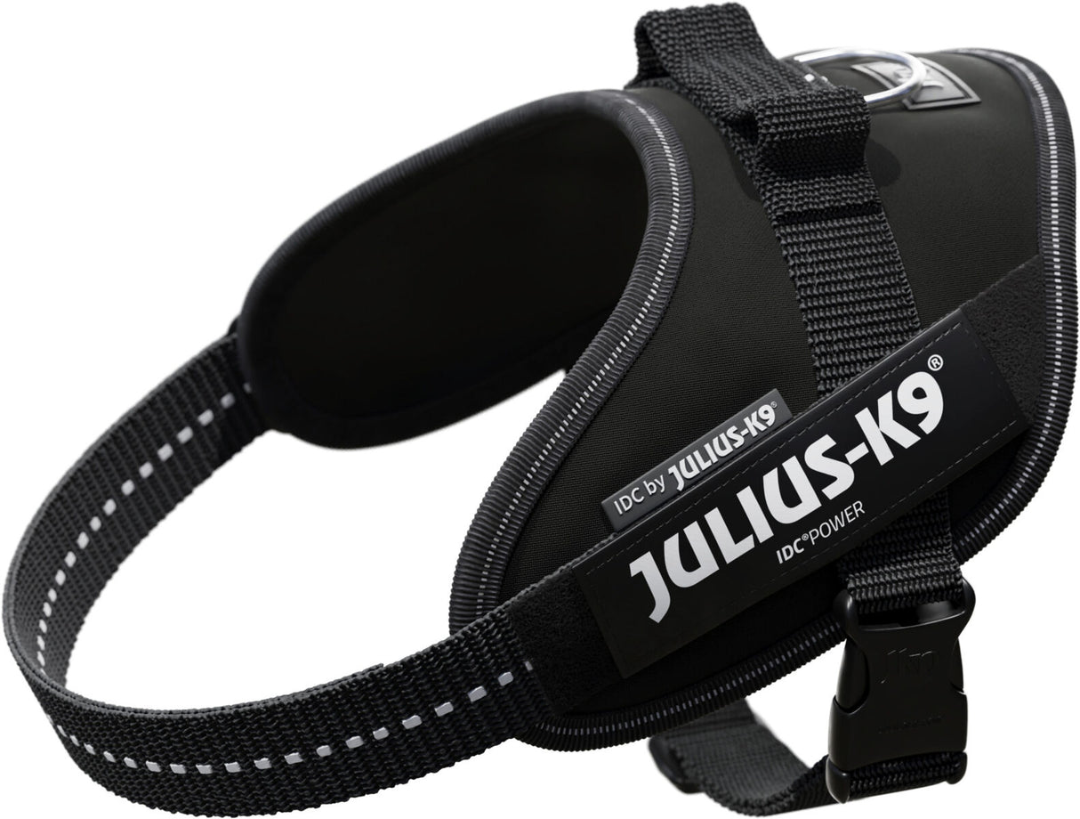 Schwarzes Hundegeschirr mit verstellbaren Gurten und sichtbarem "Julius-K9" Logo in weißer Schrift.