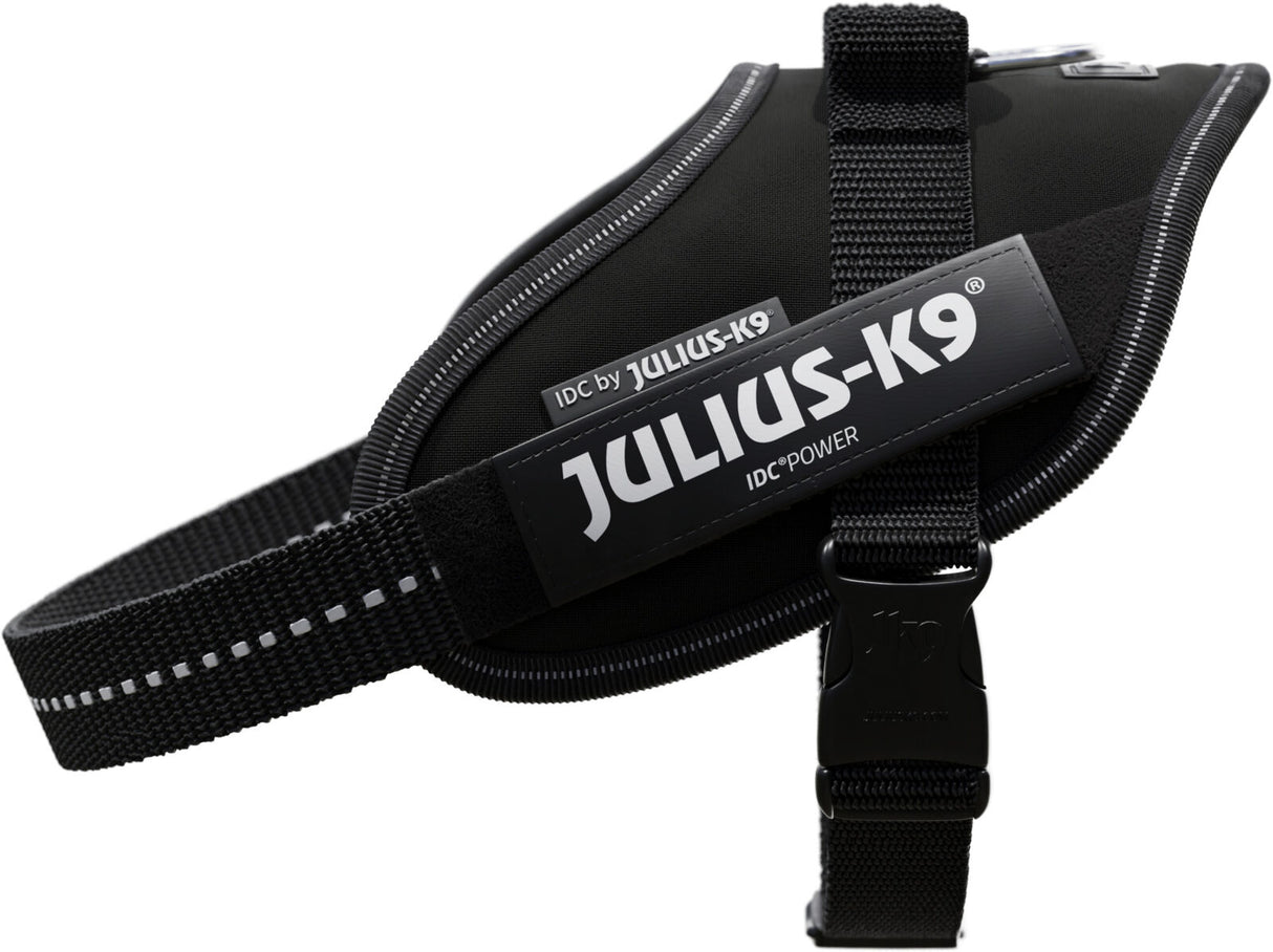 Schwarzes Hundegeschirr mit weißem Text "Julius-K9 IDC-Power" auf einem schwarzen Etikett.