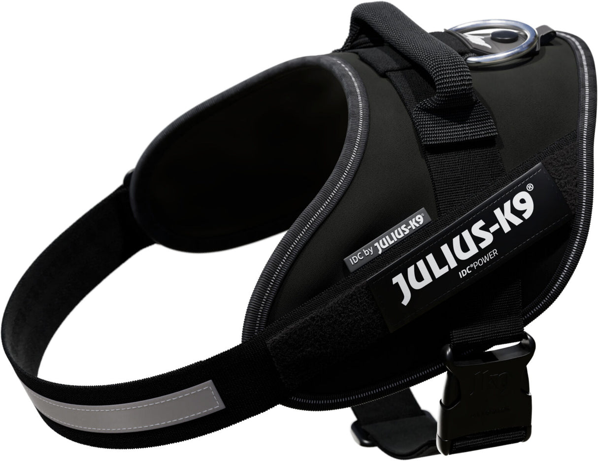 Hundegeschirr in Schwarz mit einem reflektierenden Streifen und einem Schild mit der Aufschrift "JULIUS-K9".
