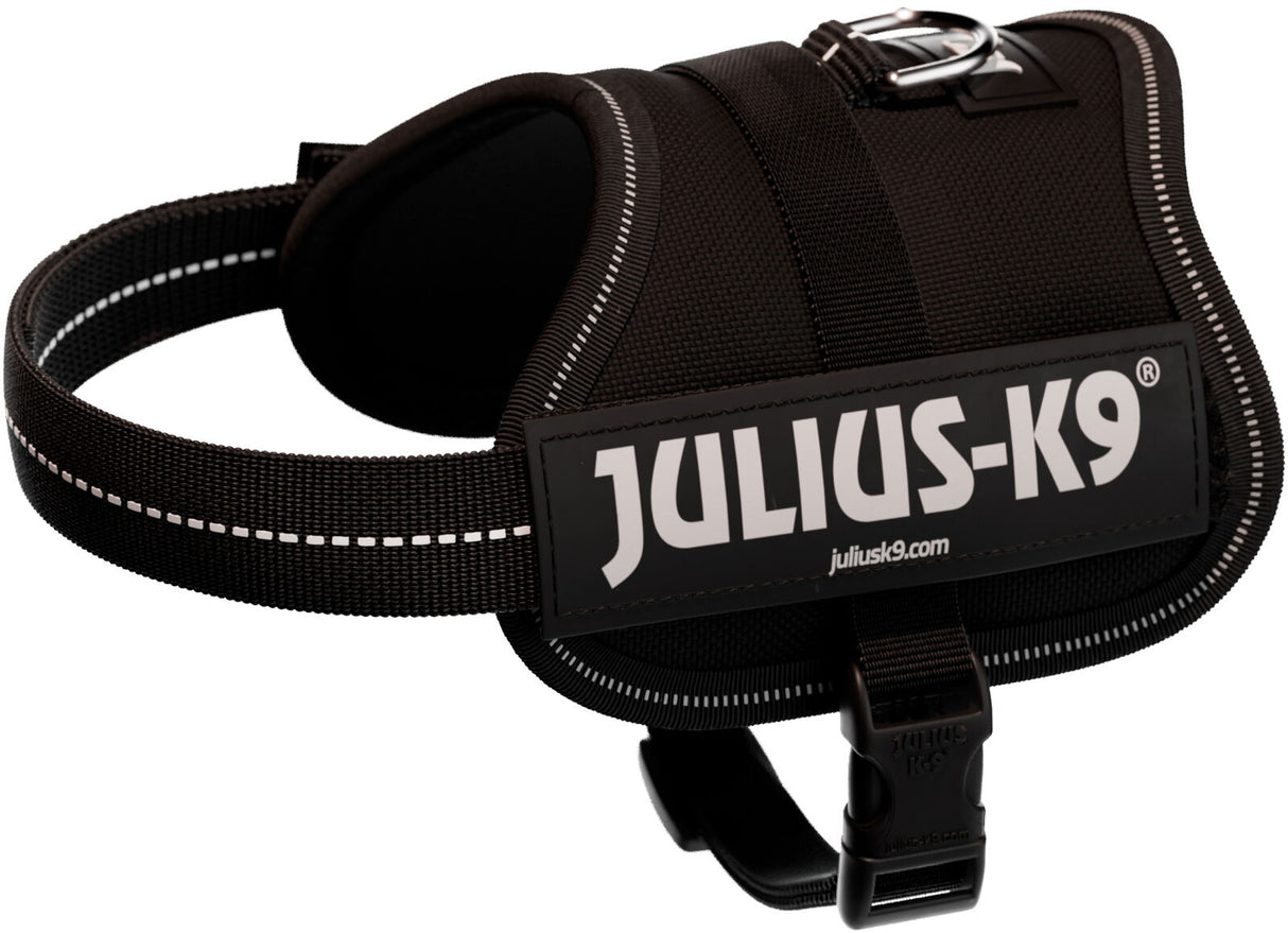 Schwarzes Hundegeschirr mit reflektierendem Streifen und großer Schrift "Julius-K9" auf der Seite.
