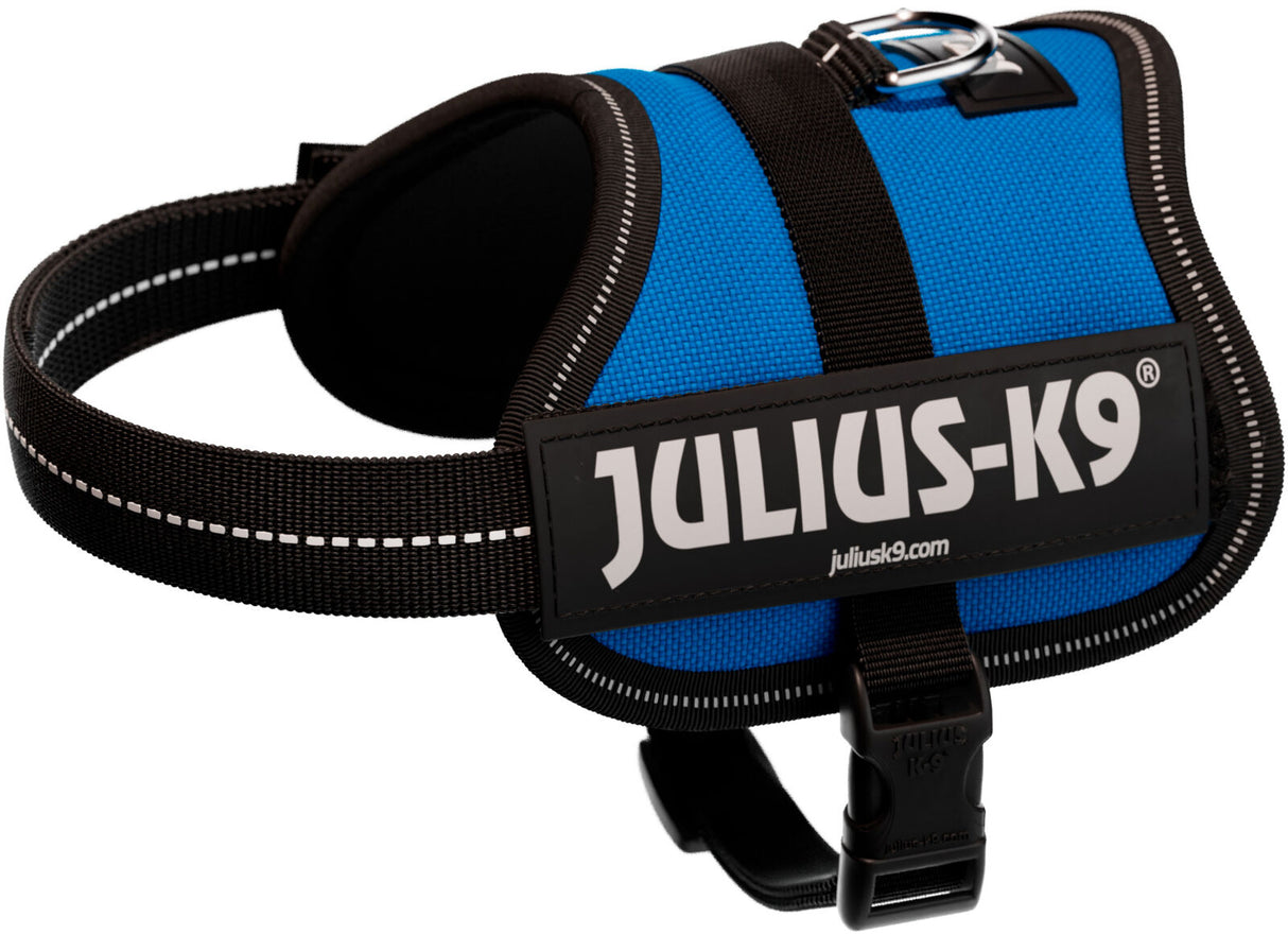 Blaues Julius-K9 Hundegeschirr mit schwarzem Gurtband und reflektierenden Nähten, Text "JULIUS-K9" sichtbar.