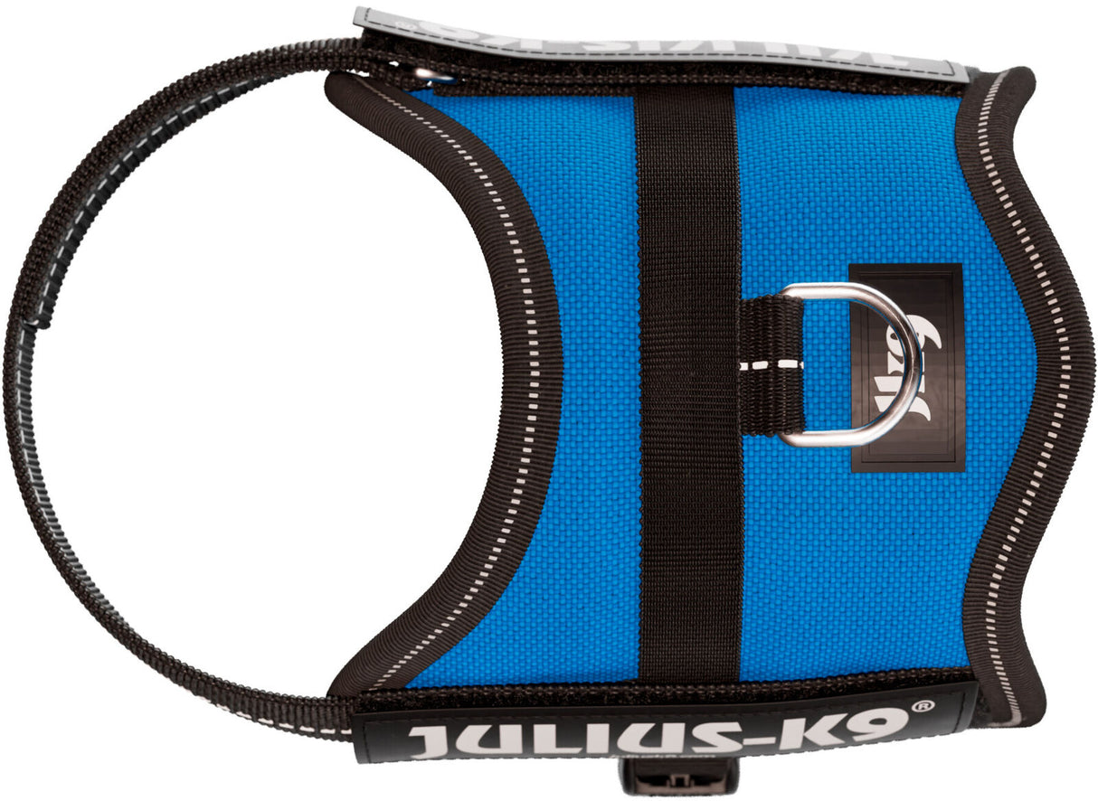 Blaues Hundegeschirr mit schwarzem Rand, D-Ring und Klettverschluss, Markenname "Julius-K9" sichtbar.
