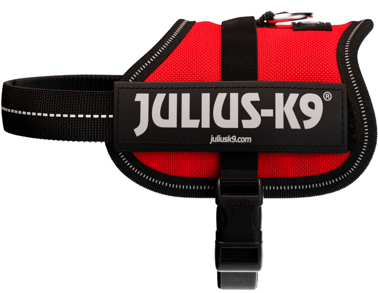 Rotes Hundegeschirr mit schwarzem Rand, breiten Griffen und Aufschrift "JULIUS-K9" auf der Seite.