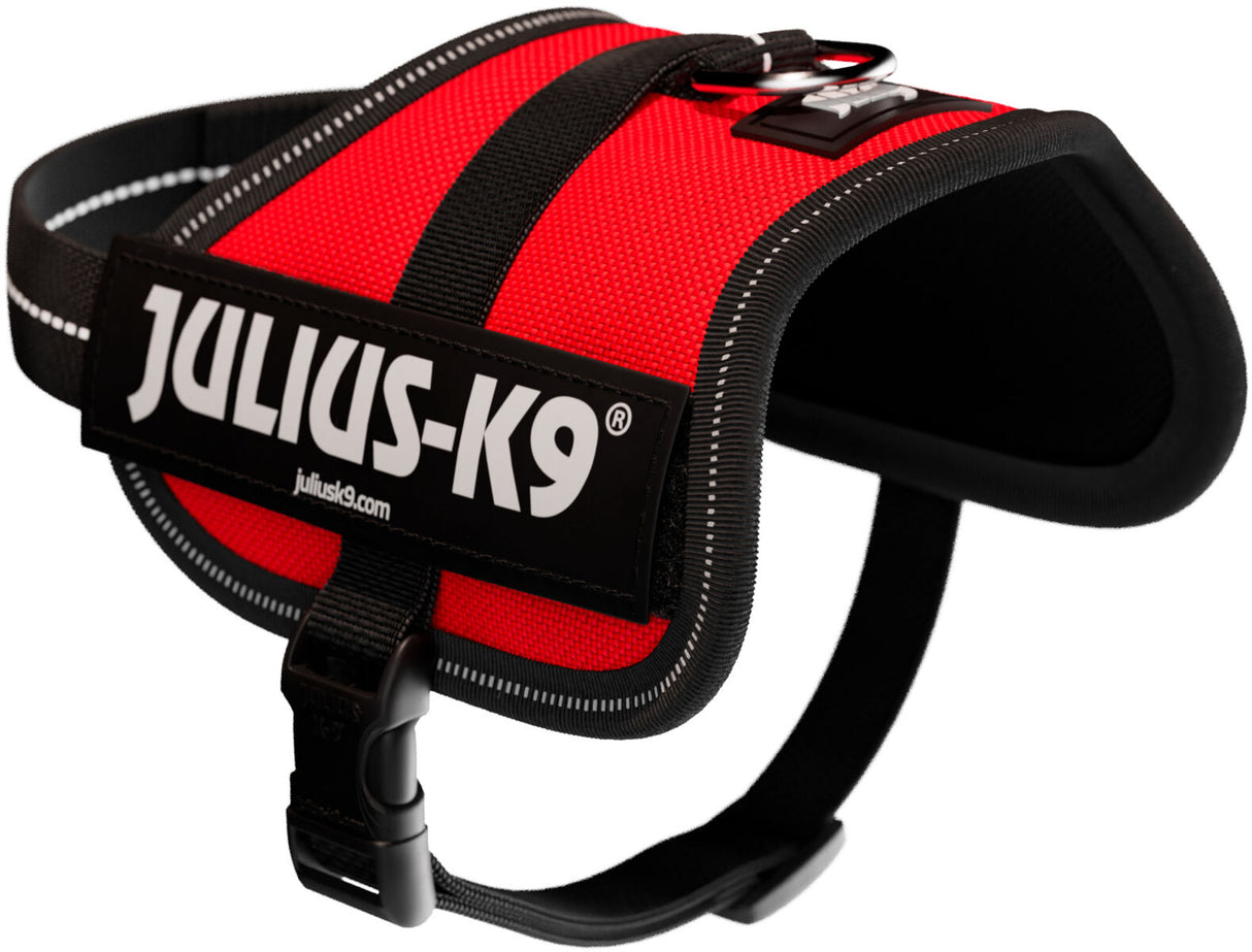 Rotes Hundegeschirr mit schwarzem Rand von Julius-K9 und sichtbarem Logo.