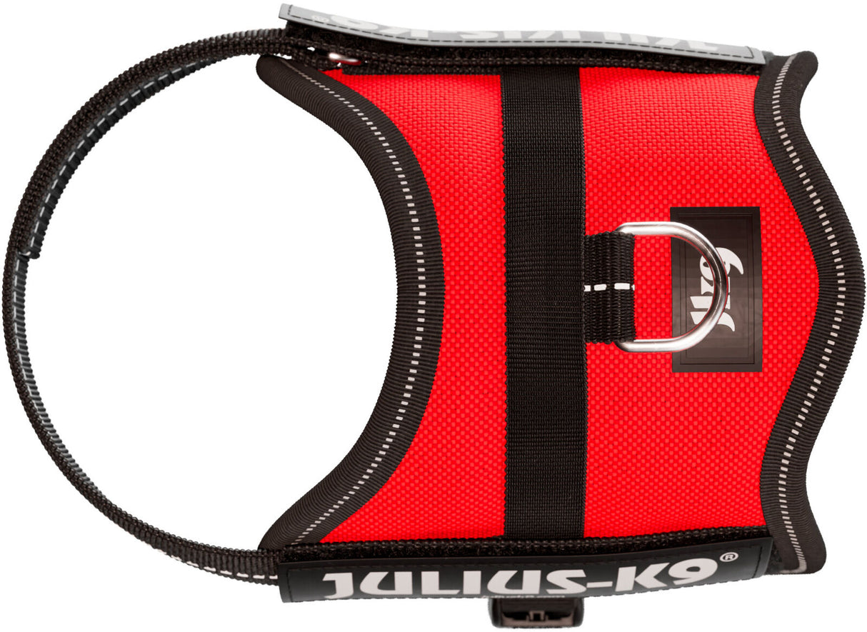 Rotes Hundegeschirr mit schwarzem Rand und Logo sowie silbernem D-Ring auf der Oberseite.