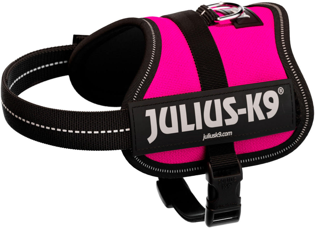 Pinkes Hundegeschirr mit schwarzem Rand und der Aufschrift "Julius-K9" auf der Seite.