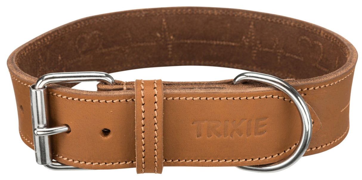 Braunes Lederhalsband mit Metallschnalle und eingraviertem Schriftzug "Trixie".