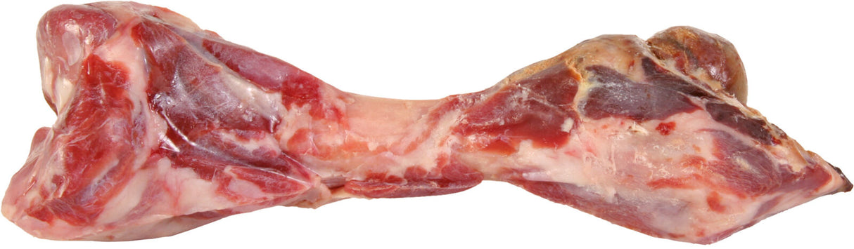 Großer, roher Knochen mit Fleischresten, farblich in Rot- und Weißtönen gehalten, vor weißem Hintergrund.