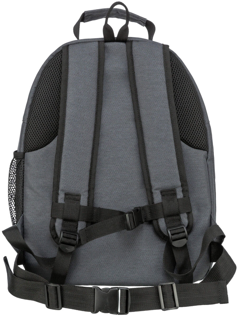 Grauer Rucksack von hinten mit verstellbaren schwarzen Schultergurten, Netzpolsterung und Brustgurt.
