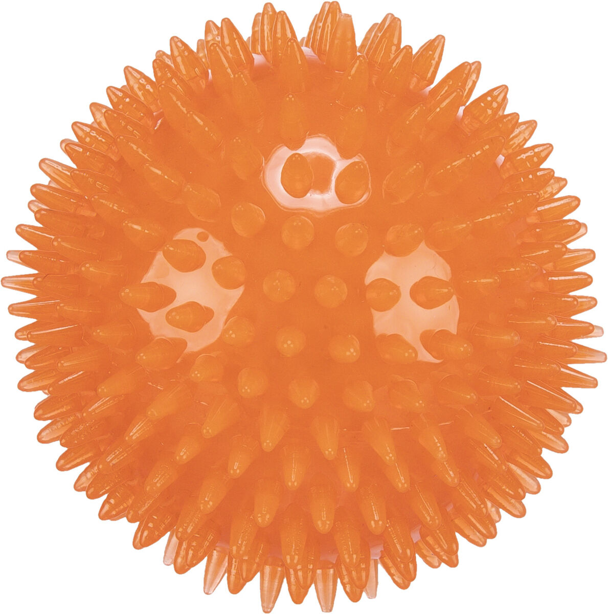 Orangefarbener, stacheliger Ball mit symmetrischen Noppen auf der gesamten Oberfläche.