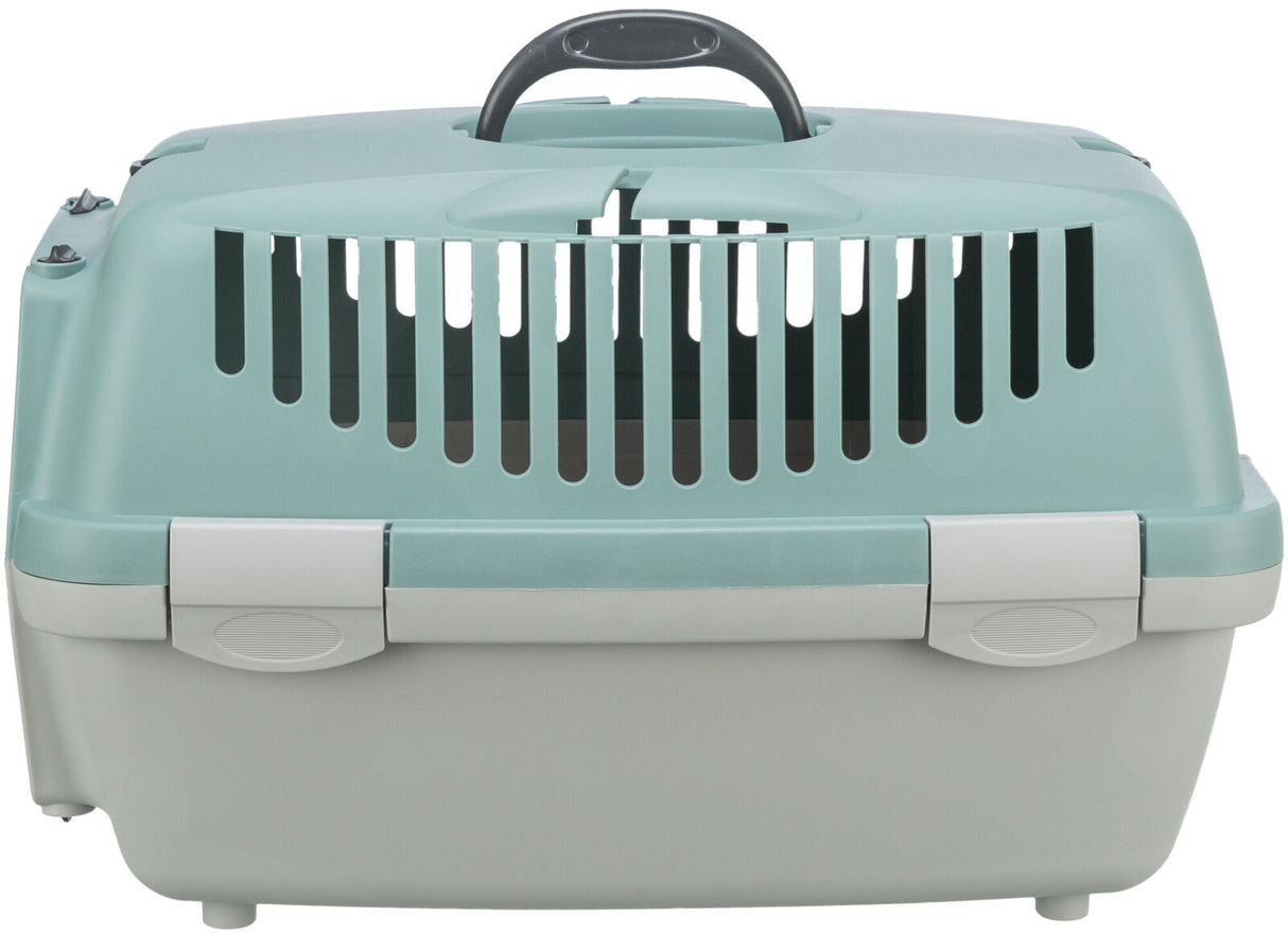 Transportbox aus hellgrünem und grauem Kunststoff mit Lüftungsschlitzen und einem schwarzen Griff oben.