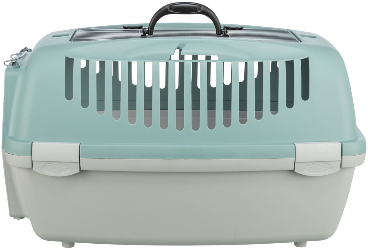 Mintgrüne Transportbox mit schwarzem Tragegriff und weißen Lüftungsschlitzen, geeignet für Haustiere.