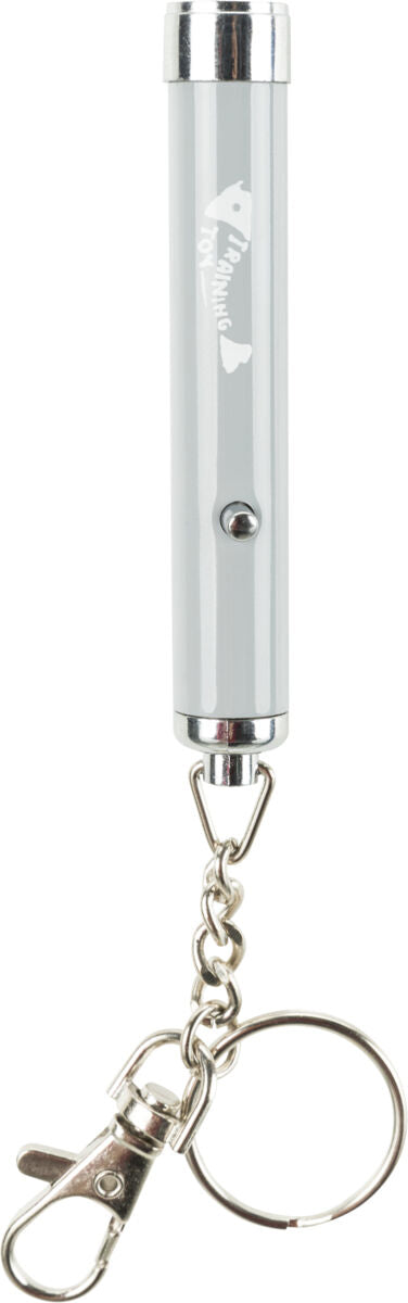 Silberfarbener, zylindrischer Laserpointer mit Schlüsselkette und Karabiner, beschriftet mit "TRAINING TOY".