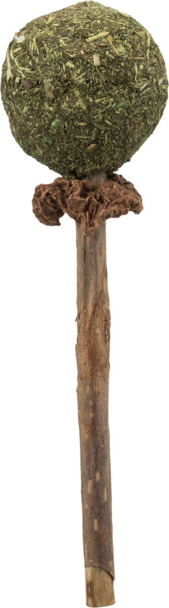 Langer Stock mit grünem, kugelförmigem Aufsatz aus Pflanzenmaterial und brauner Manschette darunter.