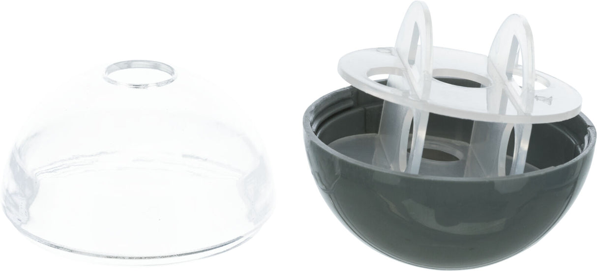 Zwei Halbkugeln, eine transparent, die andere grau mit transparenten Strukturen im Inneren, nebeneinander platziert.