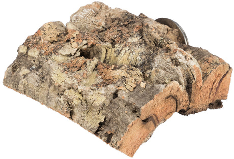 PHO_PRO_CLIP_58041-1