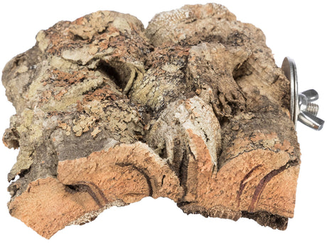 PHO_PRO_CLIP_58041-2