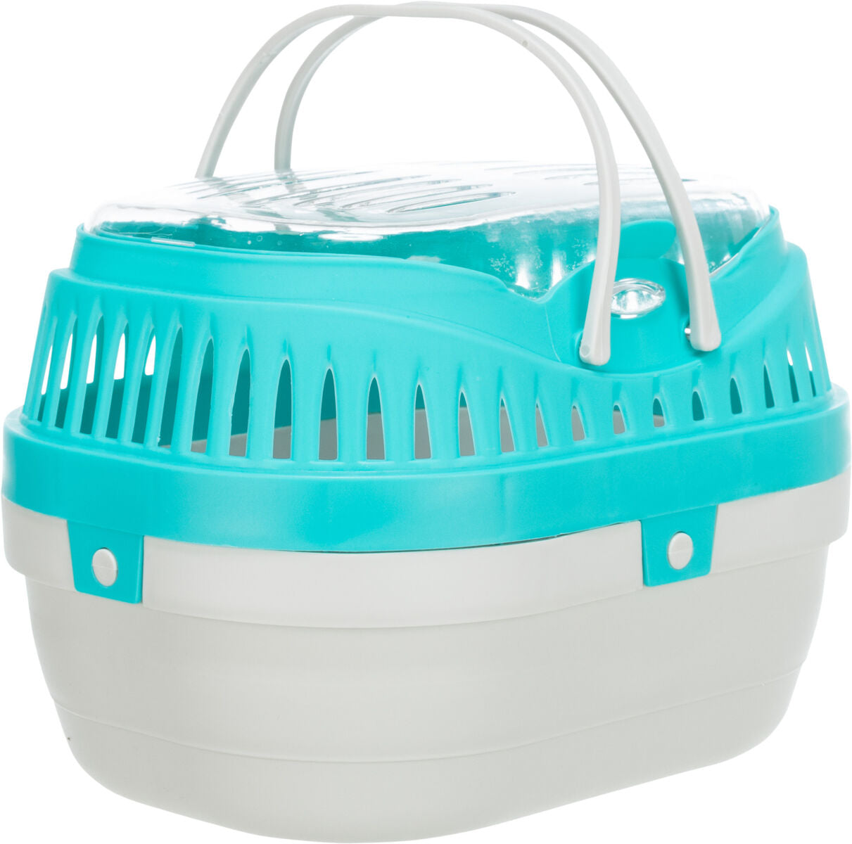 Türkis-weiße Transportbox mit Belüftungsschlitzen und transparentem Deckel, zwei graue Tragegriffe oben.