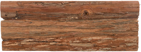 PHO_PRO_CLIP_62199-1