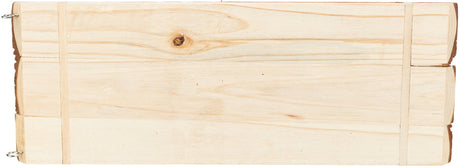 PHO_PRO_CLIP_62199-2