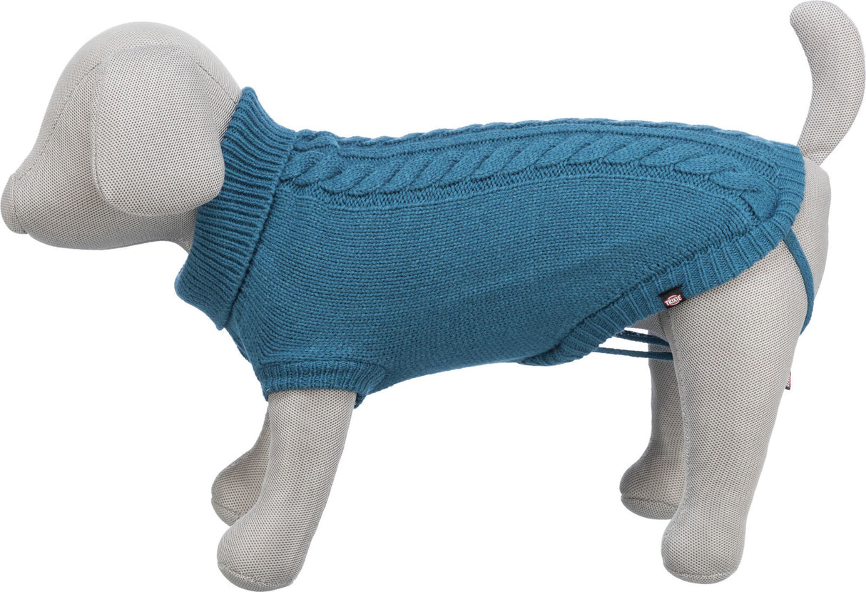 Grauer Hundemanippin, trägt einen blauen gestrickten Mantel mit Zopfmuster und Rollkragen.
