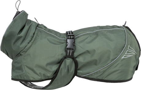 Grüner Hundemantel mit Schnallenverschluss und reflektierenden Streifen, seitlich eine geometrische Verzierung.