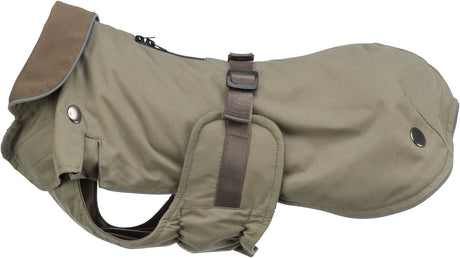 Grüner Hundemantel mit zwei Schnallen und einem braunen Kragen aus Stoff.