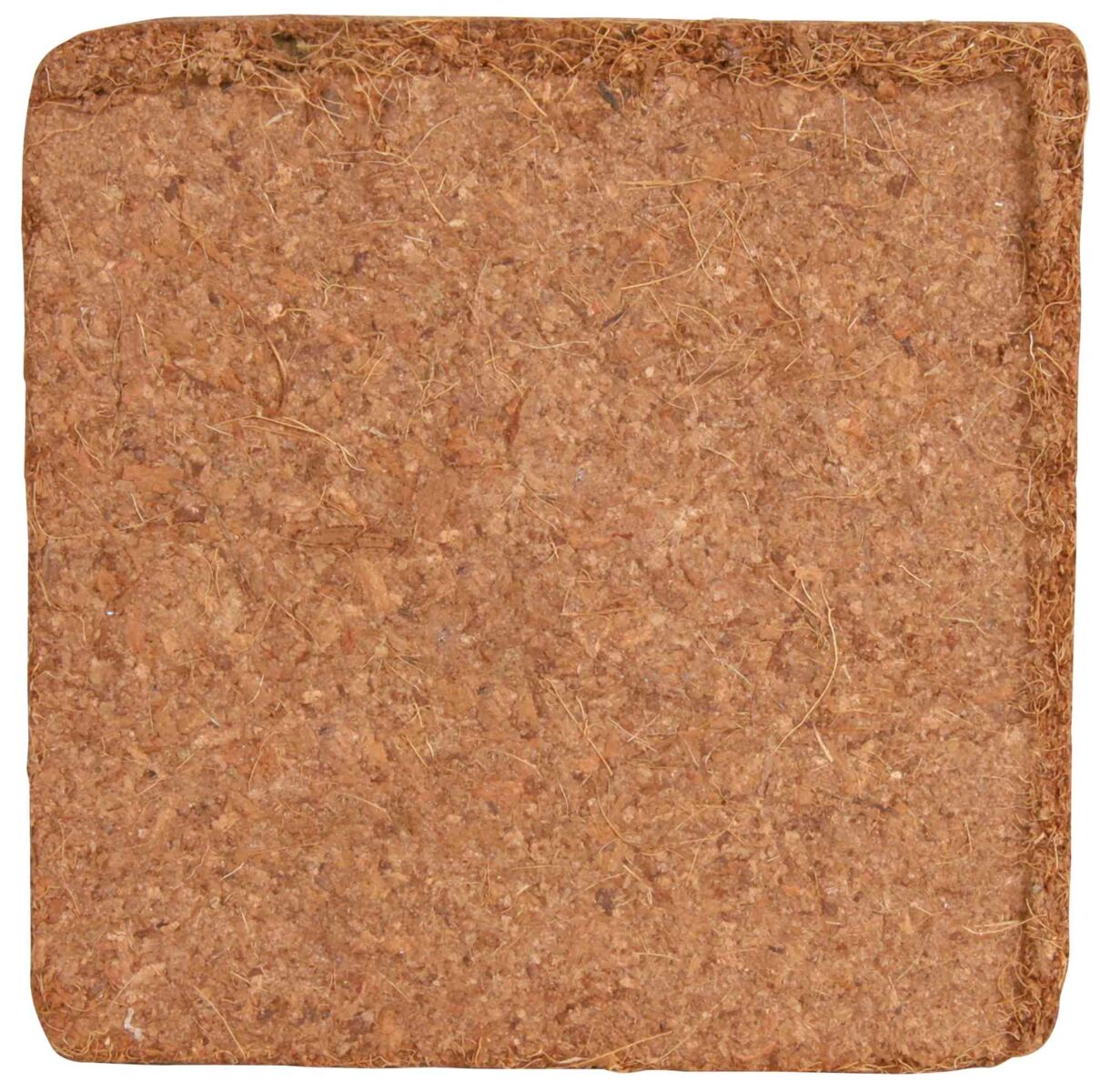 Quadratische, braune Oberfläche mit texturierter, natürlicher Struktur, wahrscheinlich aus organischem Material.