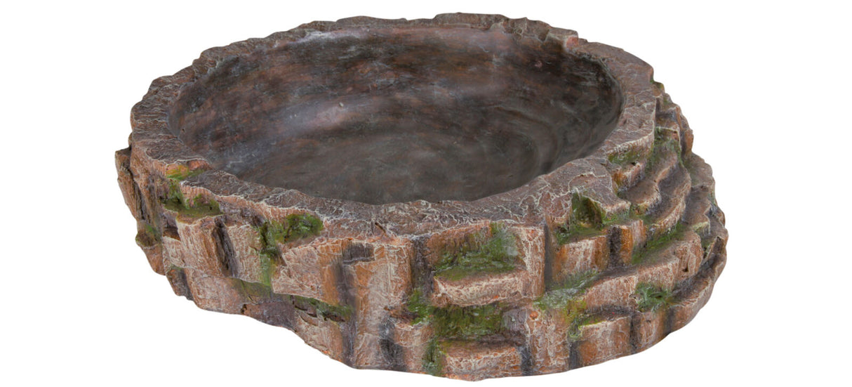 Runde braune Schale mit unregelmäßiger, felsähnlicher Oberfläche und grünen Flecken an den Kanten.