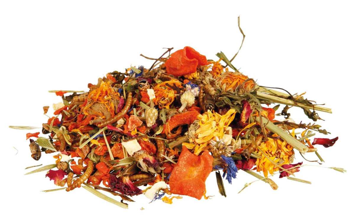 Ein bunter Haufen aus getrockneten Blumen, Gräsern und Insekten auf weißem Hintergrund.