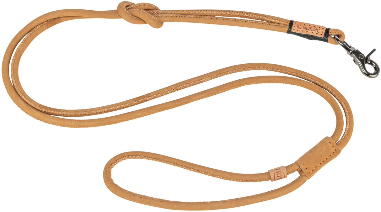 Braune Hundeleine aus Leder mit einem silbernen Karabinerhaken und einer Schlaufe, schlichtes Design.