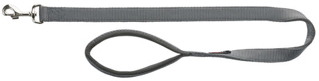 Graues, robustes Nylon-Hundehalsband mit Metallschnalle und gepolsterter Schlaufe.