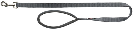 Graue Hundeleine mit Handschlaufe und Metallhaken, aus stabilem Gewebe gefertigt.