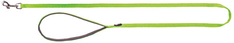 Grüne Hundeleine mit Handschlaufe und Metallkarabiner, einfaches Design, geeignete Länge für Spaziergänge.
