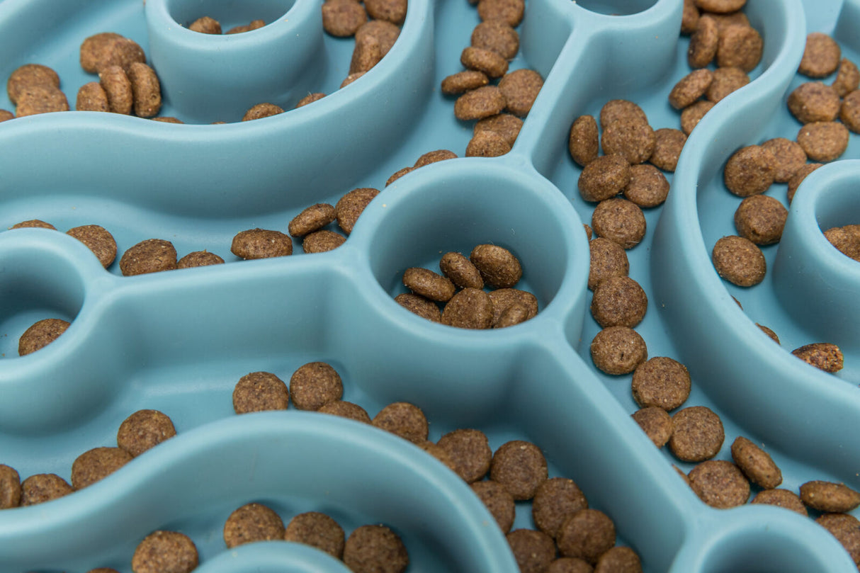 Ein blaues Labyrinth-Futternapf mit braunen Trockenfutter-Stücken verteilt in den Vertiefungen.