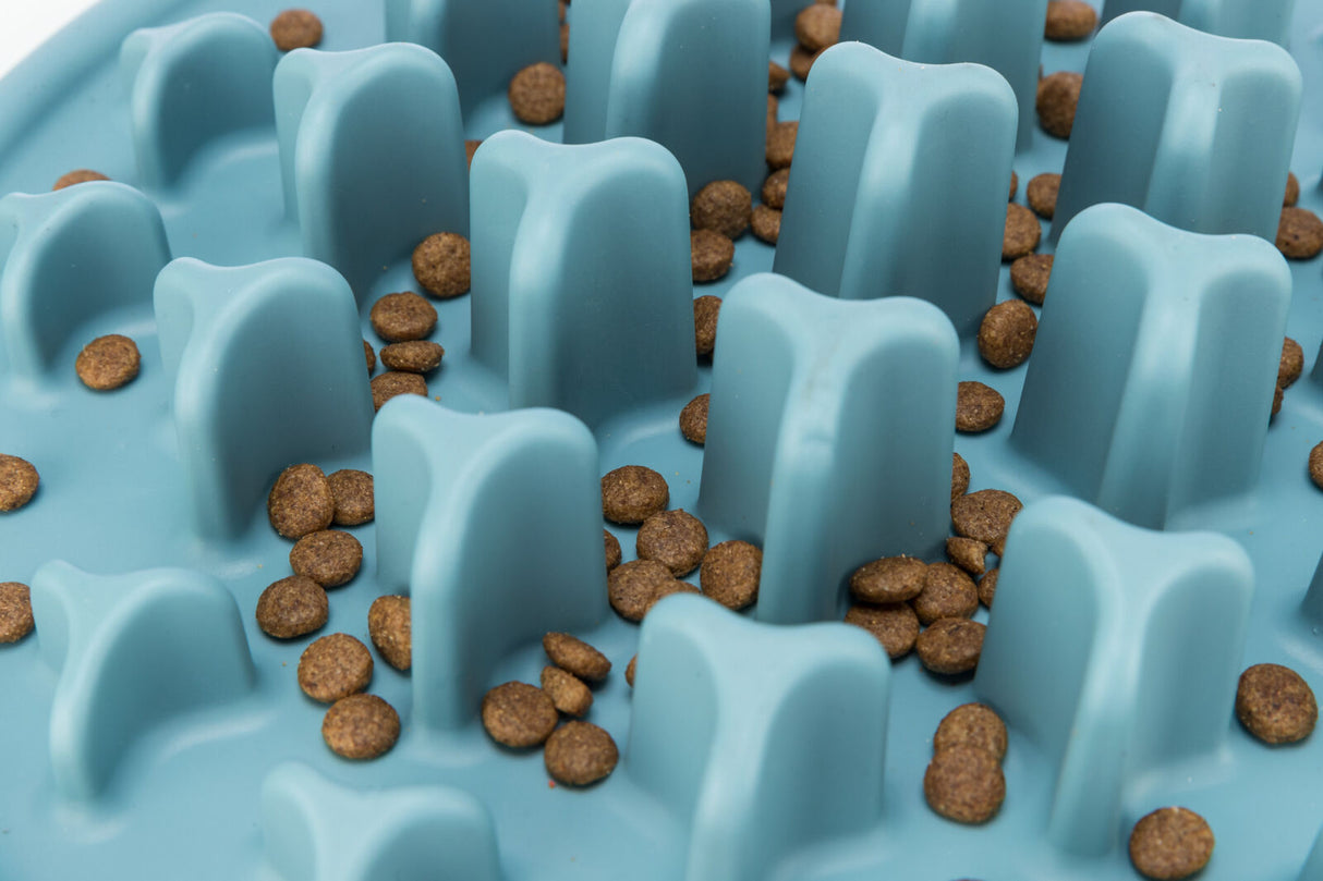 Blauer Futternapf mit erhöhten Strukturen und braunen Trockenfutterstücken dazwischen verteilt.