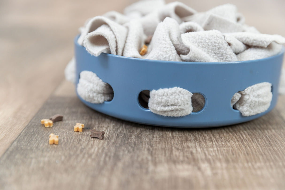 Blauer Plastikbehälter mit weichem, beigem Tuch gefüllt, kleine braune und gelbe Leckerlis auf Holzoberfläche.