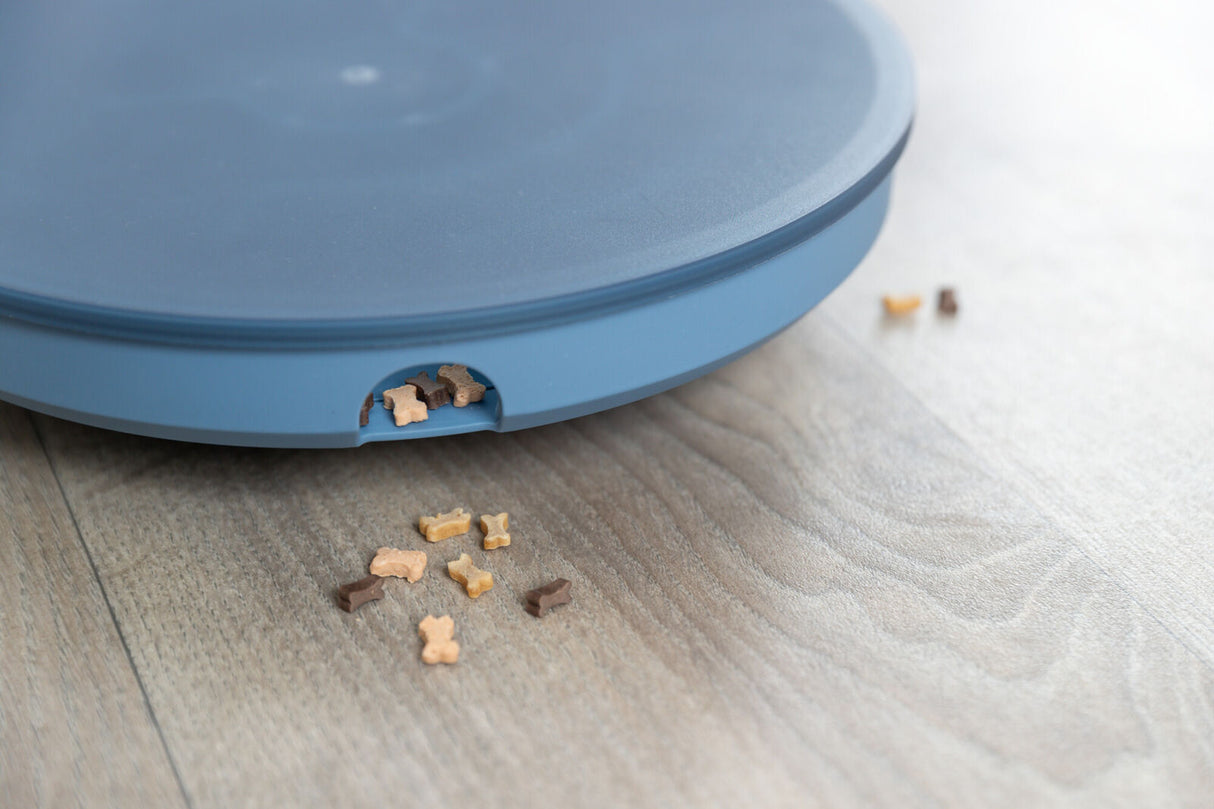 Runde blaue Schale auf Holzboden mit kleinen, verstreuten braunen und beigefarbenen Snacks am Rand.