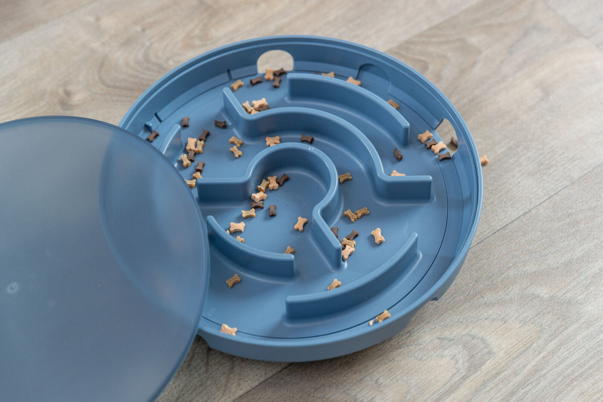 Ein runder, blauer Futterlabyrinth mit kleinen hundeknochenförmigen Leckerlis verteilt, auf Holzboden.