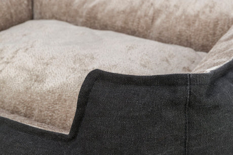 PHO_PRO_DET_36590-36591-36592-1