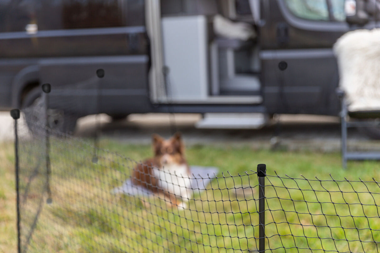 Ein Hund liegt hinter einem schwarzen Netz auf einer grünen Wiese; im Hintergrund ein geparktes Fahrzeug.