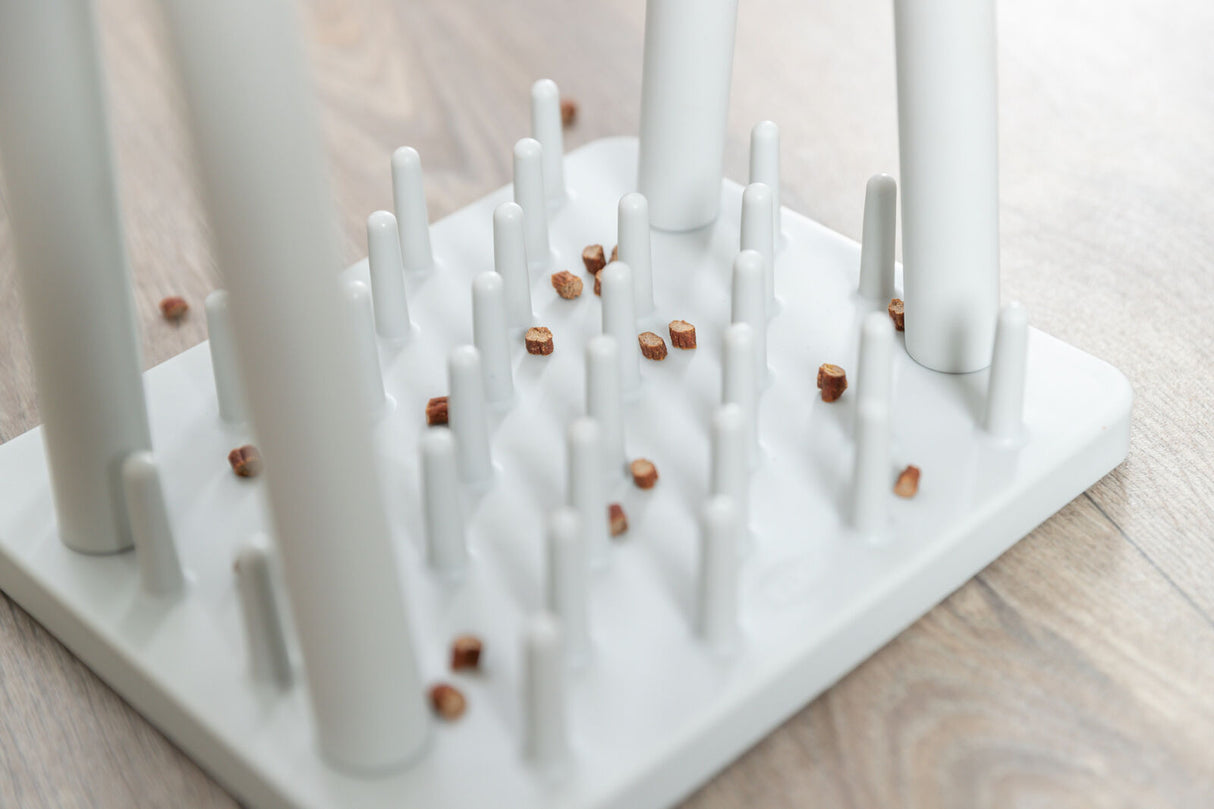 Weiße Kunststoffplatte mit langen Stiften in Reihen, dazwischen liegen kleine, braune Objekte auf einer Holzoberfläche.
