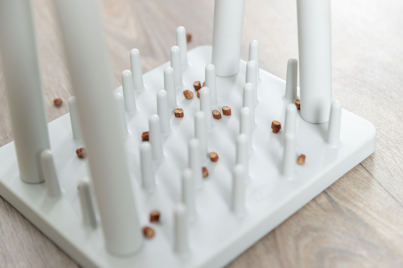 Weiße Kunststoffplatte mit langen Stiften in Reihen, dazwischen liegen kleine, braune Objekte auf einer Holzoberfläche.