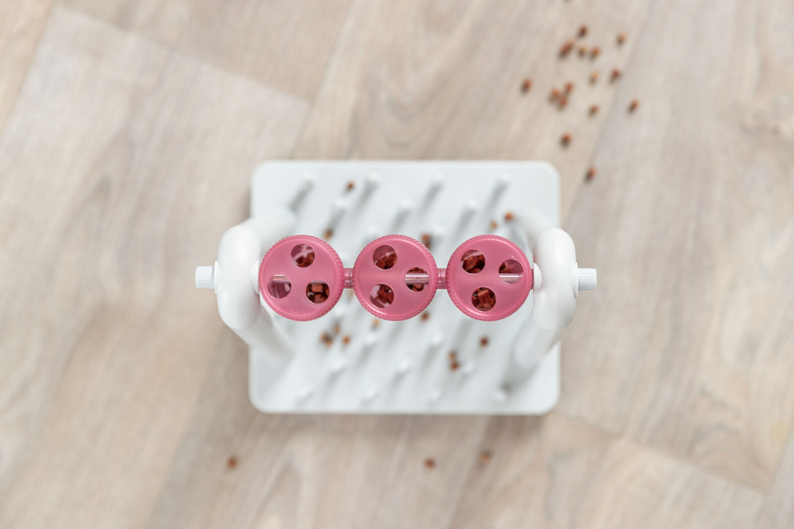 Weißer Ständer mit drei rosa drehbaren Scheiben, auf denen kleine braune Objekte platziert sind.