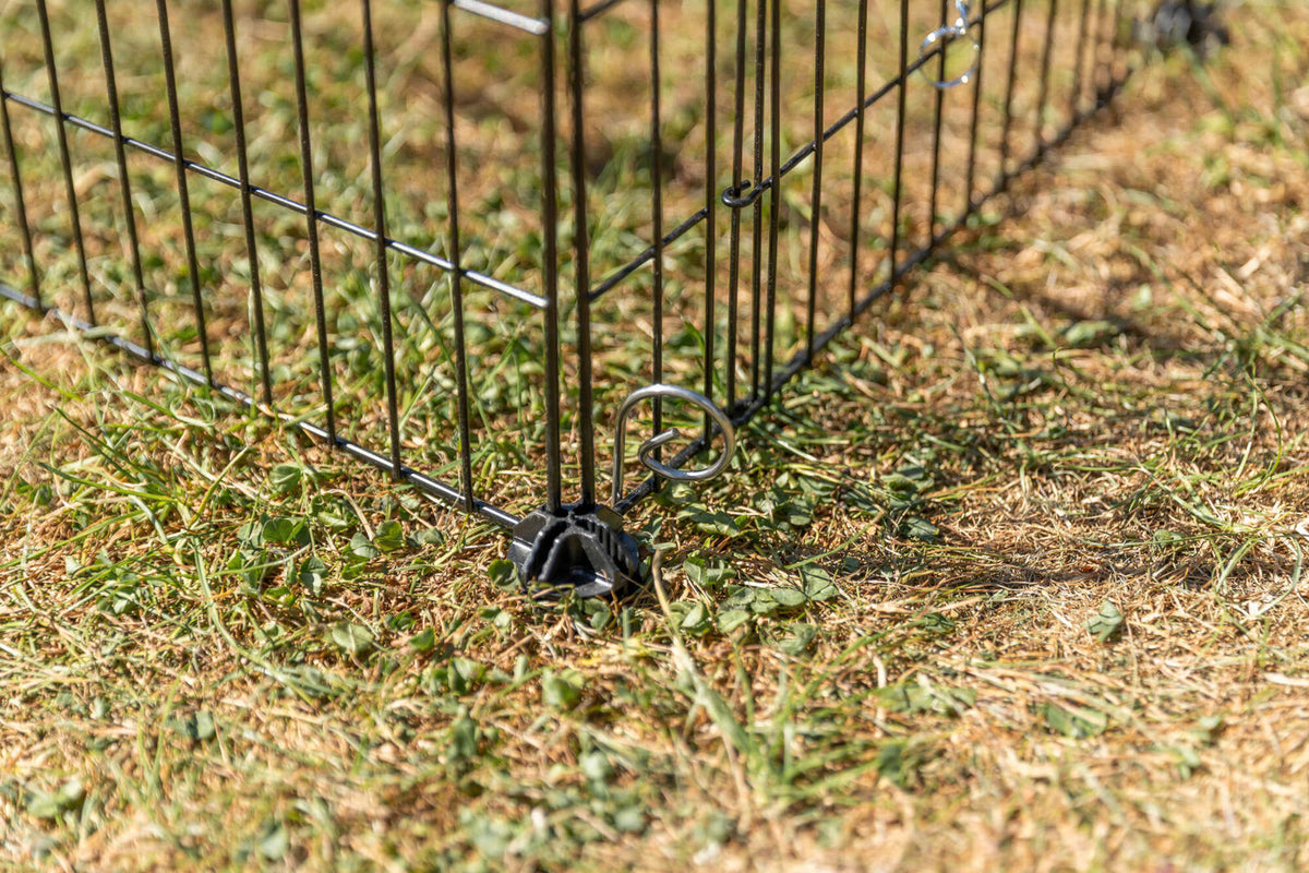 Ecke eines schwarzen Metallgeheges für Tiere auf einer Wiese.