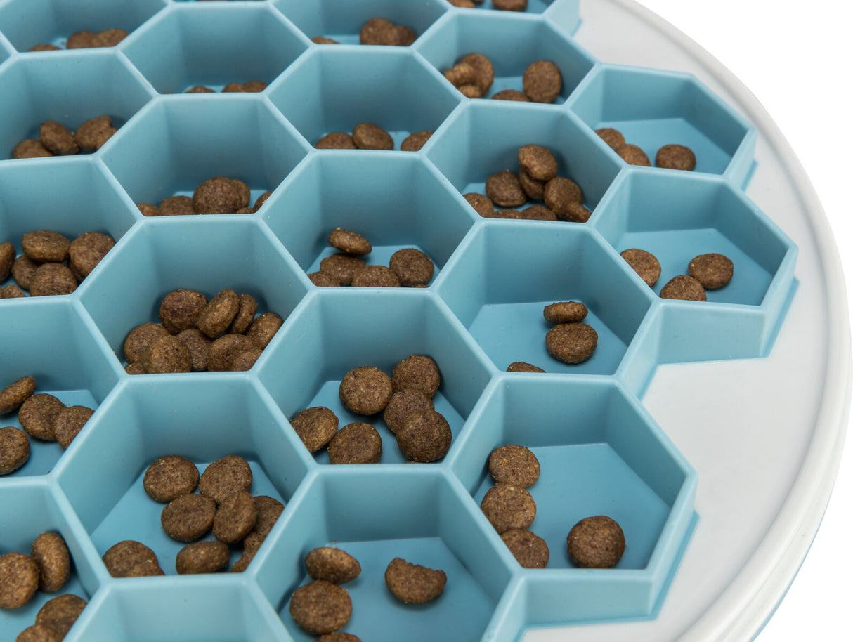 Blaue Futtermatte mit hexagonalen Vertiefungen, gefüllt mit runden, braunen Futterstücken.