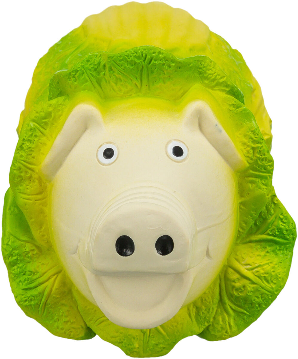 Spielzeug in Form eines Schweins mit grünem Krausrand und großen schwarzen Augen, aus Kunststoff.