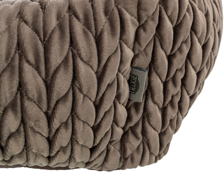 PHO_PRO_DET_CLIP_37304-37305-2