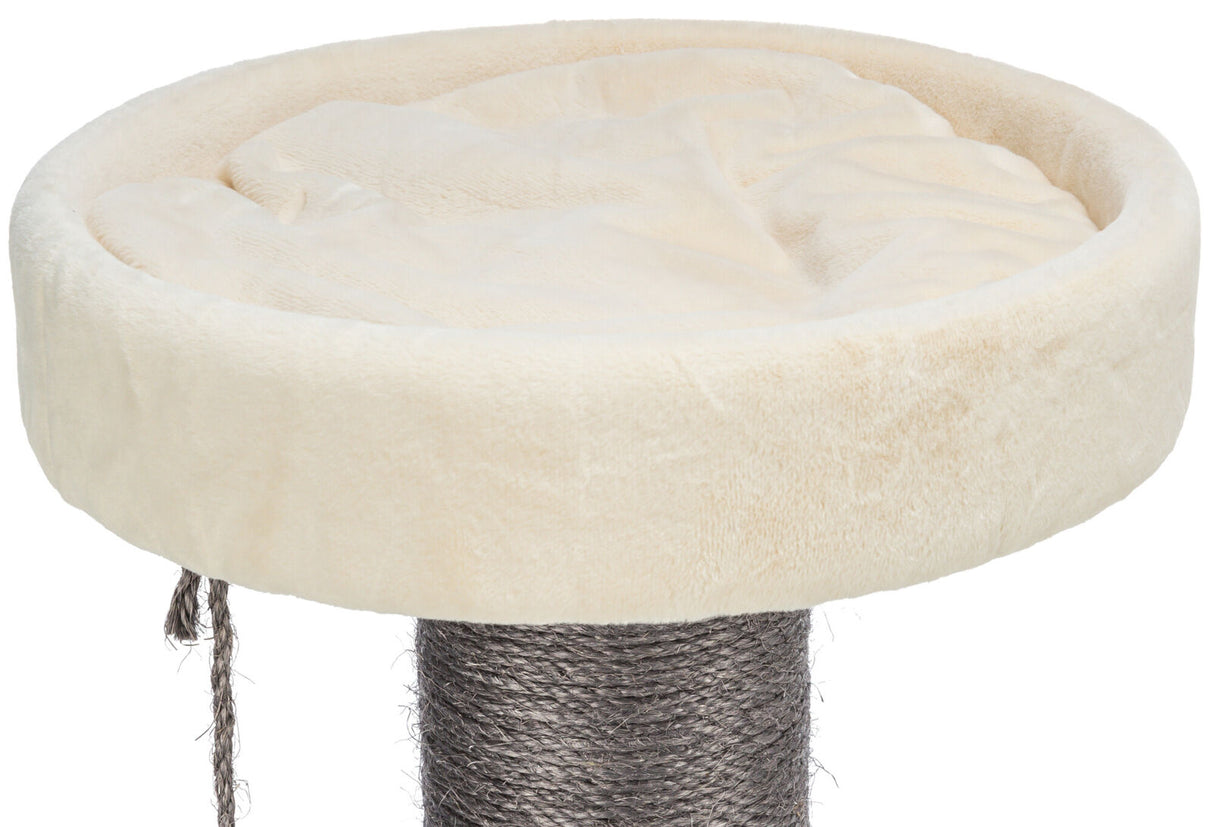 Ein beigefarbenes rundes Katzenbett auf einem dicken, mit dunkelgrauem Sisal umwickelten Kratzstamm.